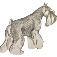 Attaway Miniature Schnauzers logo