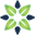 First Baptist Church, Roanoke Rapids logo