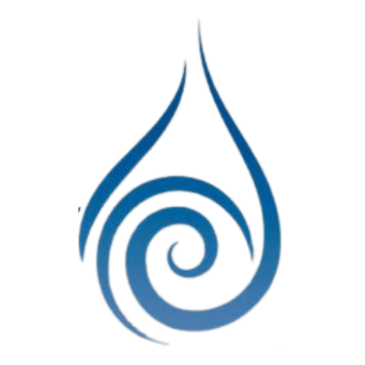 Dry Guys Water Damage Solutions logo