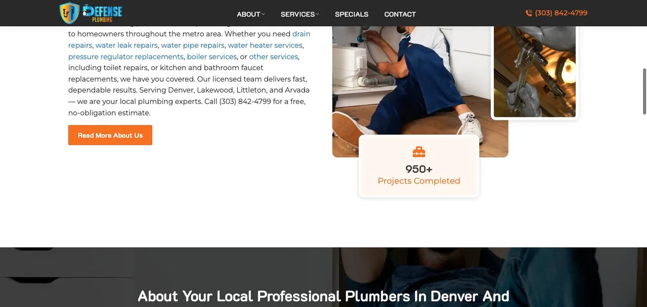 Defense Plumbing cover