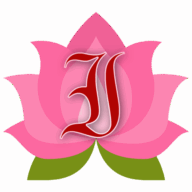 Iris Day Spa logo