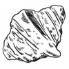 Sour Duck Market logo