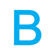 Bruins Montessori International USA Inc. logo