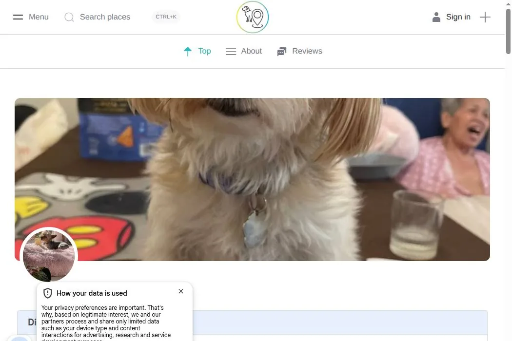 Olly’s Dog Grooming cover