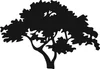 Zollinger Fruit & Tree Farm logo