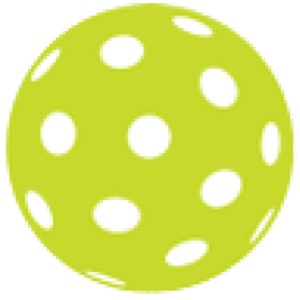 Pin Point Inc. logo