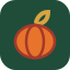 Ian's Pumpkin Patch & Christmas Trees logo