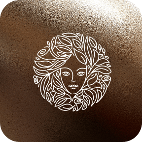 Skin Damsel Aesthetics logo
