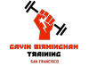 Gavin Birmingham Training logo