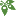 PlantTAGG, Inc. logo