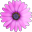Massage Bay logo