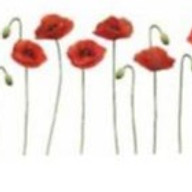 Red Poppy Farm logo