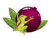 Rico's Acai logo