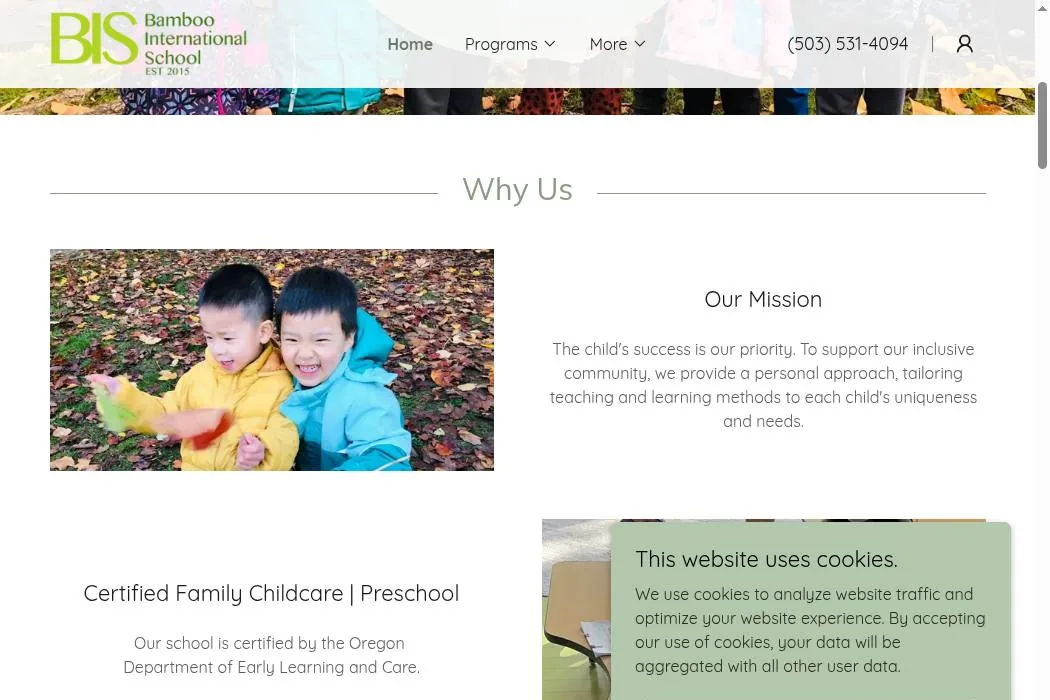 Bamboo International School cover