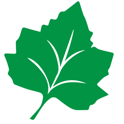 The Ivy League Child Development Center logo