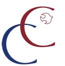 Christ Church logo