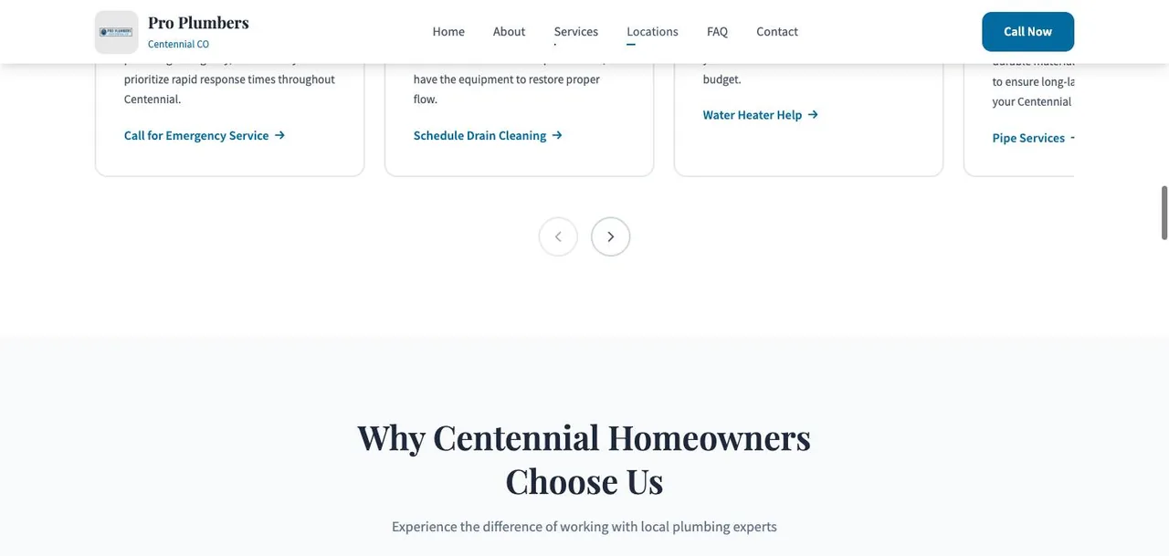 Pro Plumbers Centennial CO cover