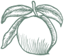 The Pickled Peach logo