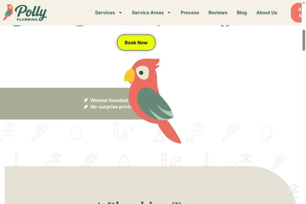 Polly Plumbing cover