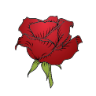 Cafe Lola Bistro Johnson City logo