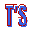 T's Services, LLC logo