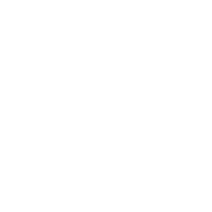 Resilient Skin Lab logo