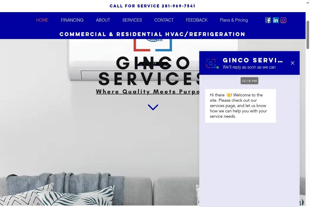 GINCO SERVICES cover