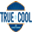 True Cool Air Conditioning Service Inc logo