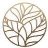 Five Cities Therapy logo