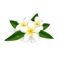 Therapeutic Massage by Renata logo