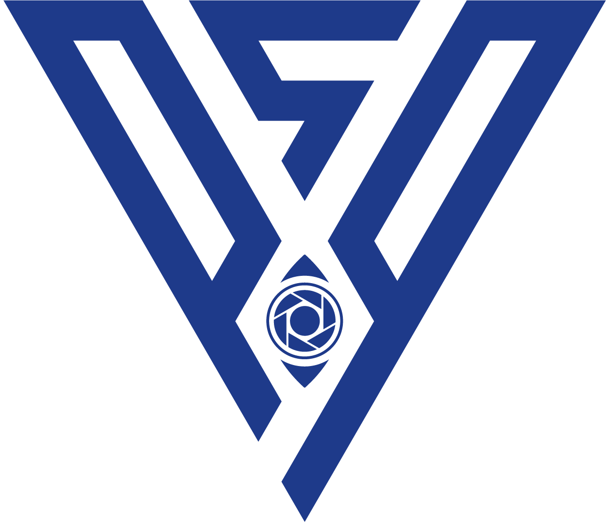 Private Security Plus logo