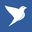 Bluebird Real Estate logo