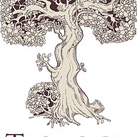 T-ology Beauty logo