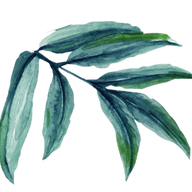Little Leaf Montessori logo