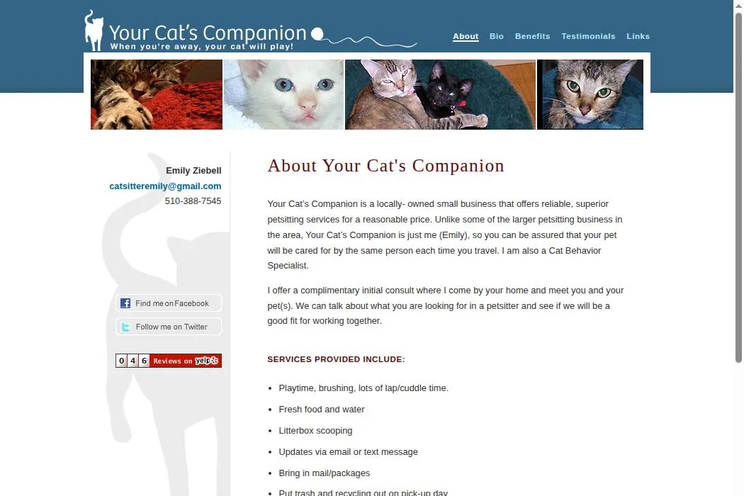 Your Cat's Companion cover