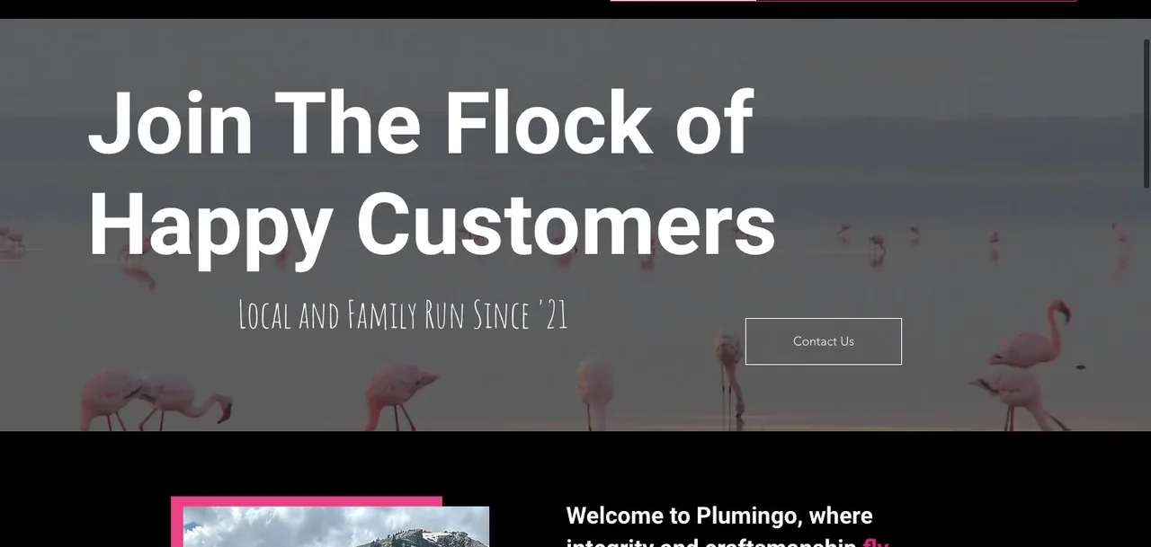 Plumingo cover