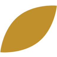 Spa Castle USA logo