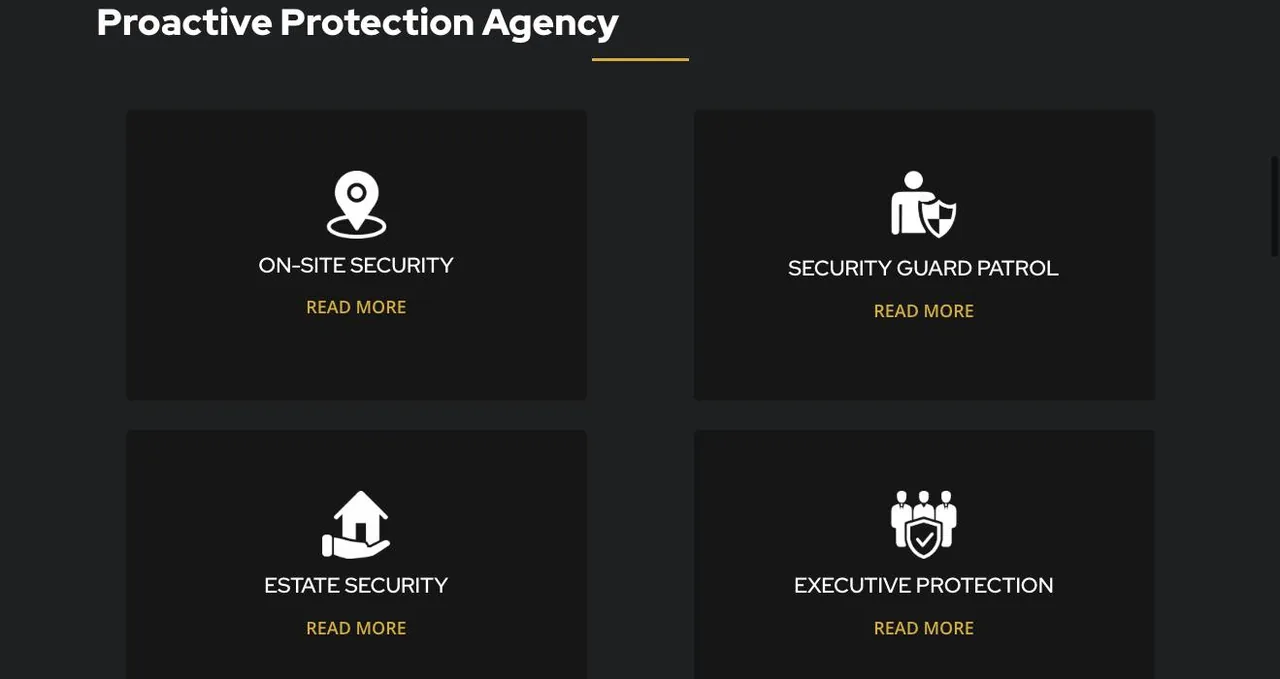 Proactive Protection Agency cover