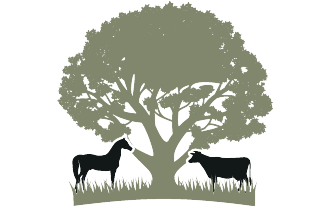 Pereira Ranch logo