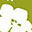 Senza Aesthetic Medicine logo