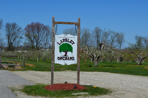 Lapsley Orchard logo