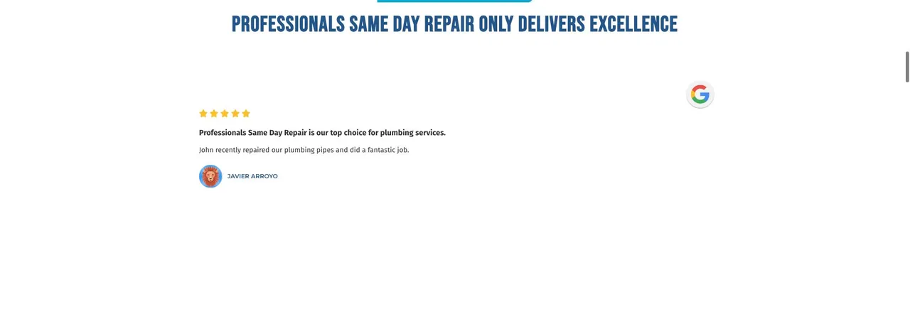 Professionals Same Day Repair cover