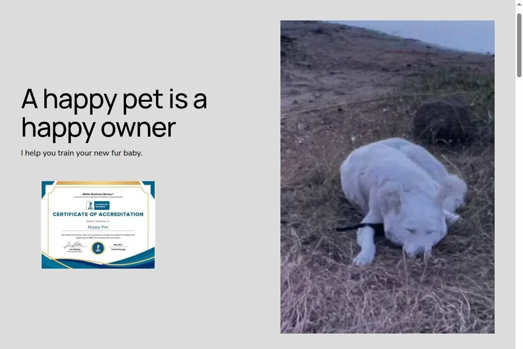 Happy Pets cover
