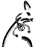 Doctor Cat's (& Dogs!) Veterinary Housecalls logo