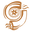 Project Gamma Intake logo