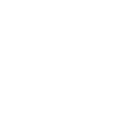Nova Vita Coffee logo