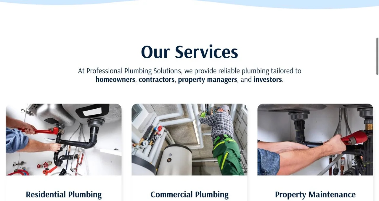 Professional Plumbing Solutions LLC cover
