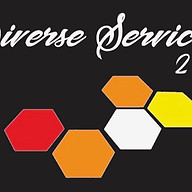 Diverse Services 2 Inc. logo