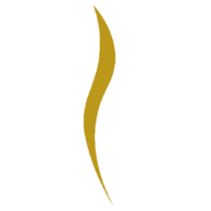 Essential Med Clinic & Aesthetics logo