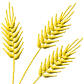 The Church Co logo